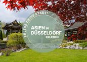 Asiatisches Düsseldorf: entdecke Kultur und Küche!